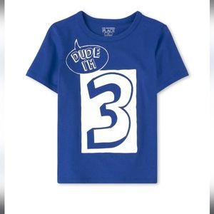 Boys T shirt, 3rd Birthday "Dude I'm 3"